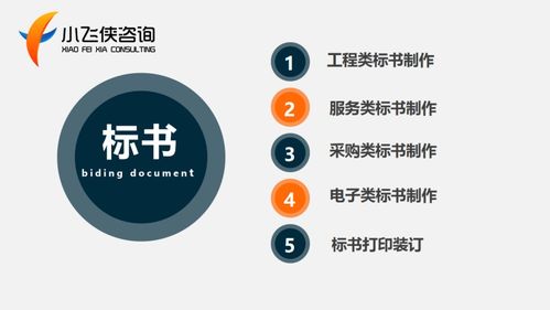 2021张湾区 建厂批地项目报告 立项报告 小飞侠咨询